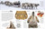 Eyewitness Arctic and Antarctic - 9780593842423 by DK