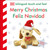 Bilingual Baby Touch and Feel Merry Christmas - Feliz Navidad by DK, 9780744096903