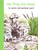 One Frog Too Many by Mercer Mayer, Marianna Mayer, Marianna Mayer, Mercer Mayer, 9780803728851
