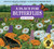 A Place for Butterflies (Third Edition) by Melissa Stewart, Higgins Bond, 9781682636633