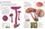 Mushrooms (How to Identify and Gather Wild Mushrooms and Other Fungi) by DK, 9781465408556