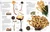 Mushrooms (How to Identify and Gather Wild Mushrooms and Other Fungi) by DK, 9781465408556