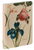 Redouté's Fabulous Flowers Journal by Pierre-Joseph Redouté, 9780486852904