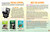 Save the... Penguins by Anita Sanchez, Chelsea Clinton, 9780593624500