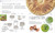 Plants and Fungi (The Definitive Visual Encyclopedia) by DK, 9780593844076