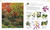 Plants and Fungi (The Definitive Visual Encyclopedia) by DK, 9780593844076