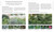 Encyclopedia of Garden Plants for Every Location (An Expert Guide to More Than 3,000 Plants) by DK, 9780593848005