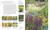 Encyclopedia of Garden Plants for Every Location (An Expert Guide to More Than 3,000 Plants) by DK, 9780593848005