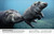 The Animal Book (A Visual Encyclopedia of Life on Earth) by David Burnie, Smithsonian Institution, 9781465414571