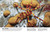 The Animal Book (A Visual Encyclopedia of Life on Earth) by David Burnie, Smithsonian Institution, 9781465414571