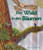 Der Wald in den Bäumen ((The Forest in the Trees in German)) by Niels Roschek, Sarah G. Tinaishe, Connie McLennan, 9781643516547