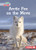 Arctic Fox on the Move - 9798765629291 by Katie Peters, 9798765629291