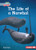 The Life of a Narwhal - 9798765629314 by Katie Peters, 9798765629314