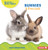 Bunnies (A First Look) - 9798765629468 by Anna Anderhagen, 9798765629468