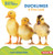Ducklings (A First Look) - 9798765629482 by Anna Anderhagen, 9798765629482