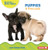 Puppies (A First Look) - 9798765629512 by Anna Anderhagen, 9798765629512