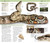 Nature Guide: Snakes and Other Reptiles and Amphibians (The World in Your Hands) by DK, 9781465421036