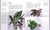 Herbs & Spices (Over 200 Herbs and Spices, with Recipes for Marinades, Spice Rubs, Oils, and Mor) by Jill Norman, 9781465435989