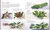 Herbs & Spices (Over 200 Herbs and Spices, with Recipes for Marinades, Spice Rubs, Oils, and Mor) by Jill Norman, 9781465435989