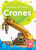 Cranes - 9781644873687 by Dana Fleming, Amy McDonald, 9781644873687