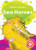 Sea Horses by Christina Leaf, Dana Fleming, 9781644873960