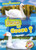 Swan or Goose? by Kirsten Chang, Dana Fleming, 9781644874066