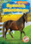 Spanish Mustangs by Rachel Grack, 9781644874325