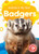 Badgers - 9781644875612 by Amy McDonald, Dana Fleming, 9781644875612