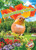 Hummingbirds - 9781644876923 by Rachael Barnes, Dana Fleming, 9781644876923
