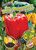 See Bell Peppers Grow by Dana Fleming, Kirsten Chang, 9798886874112