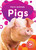 Pigs - 9798886877632 by Rebecca Sabelko, 9798886877632 Pigs - 9798886877632 by Rebecca Sabelko, 9798886877632