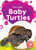Baby Turtles - 9798886877755 by Elizabeth Neuenfeldt, 9798886877755