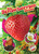 See Strawberries Grow by Kirsten Chang, 9798886877854