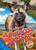 African Wild Dogs - 9798886877861 by Rachel Grack, 9798886877861