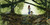 A Roof! by Stephanie Ellen Sy, Daniel Tingcungco, 9780593697054