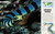 Océanos increíbles (Amazing Oceans) (Spanish Edition) by Annie Roth, 9780593848197