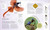 The Bird Book (The Stories, Science, and History of Birds) by DK, 9780593844069