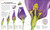 Explanatorium of Nature (Where the Wonders of the World are Revealed) - 9780593844977 by DK