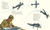 There Goes Ted Williams (The Greatest Hitter Who Ever Lived) by Matt Tavares, Matt Tavares, 9780763665579