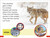 DK Super Readers Pre-Level A Coyote's Tale by DK, 9780744094459