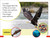 DK Super Readers Pre-level An Eagle's Tale - 9780593847213 by DK