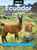 Moon Ecuador & the Galápagos Islands (Outdoor Adventure, Indigenous Culture, Sustainable Travel) by Bethany Pitts, Moon Travel Guides, 9798886470307