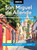 Moon San Miguel de Allende: With Guanajuato & Queretaro (Art & Architecture, Local Flavors & Festivals, Day Trips) by Julie Meade, Moon Travel Guides, 9798886470628