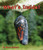 What's Inside? by Mary Holland, 9781643519883