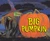 Big Pumpkin - 9781665966603 by Erica Silverman, S.D. Schindler