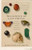 The Science of Last Things (Essays on Deep Time and the Boundaries of the Self) by Ellen Wayland-Smith, 9781639550968