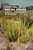 Natura Urbana (Ecological Constellations in Urban Space) - 9780262551335 by Matthew Gandy, 9780262551335