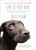 Love at First Bark (How Saving a Dog Can Sometimes Help You Save Yourself) by Julie Klam, 9781594486159