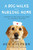 A Dog Walks Into a Nursing Home (Lessons in the Good Life from an Unlikely Teacher) by Sue Halpern, 9781594632693