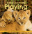 Baby Animals Playing - 9781771475747 by Suzi Eszterhas, 9781771475747